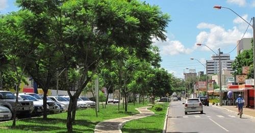 Avenida Olívia Flores