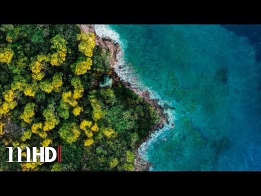 A Ilha Trailer-HD 