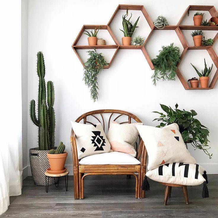 Moda DECORAÇÃO PLANTINHA.🌵