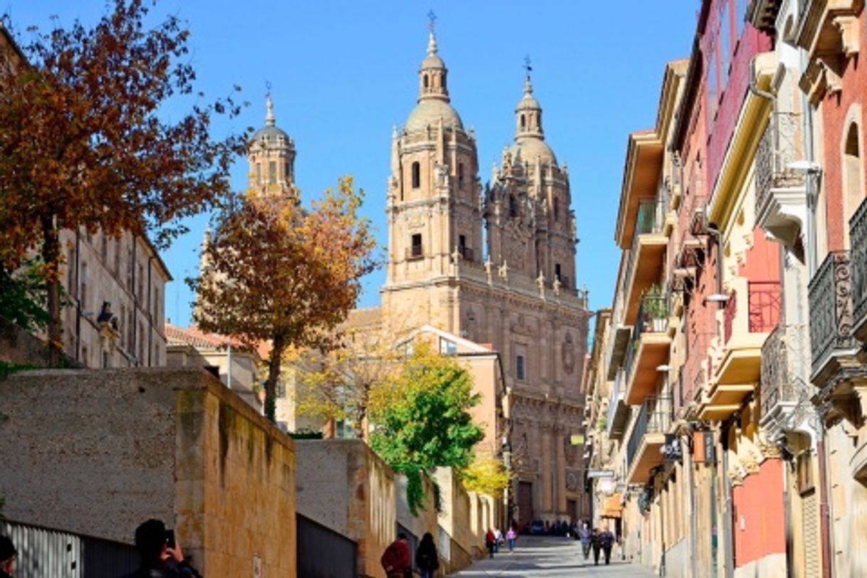 Lugar Iglesia del Espíritu Santo (Clerecía)