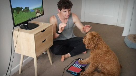 I Taught My Dog to Play Minecraft - YouTube