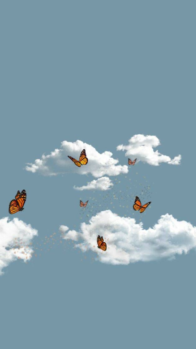 Moda Wallpaper Butterfly