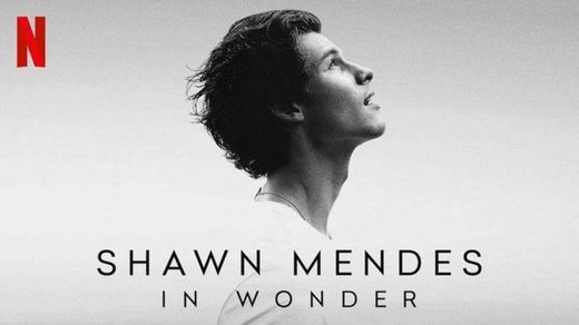 SHAWN MENDES IN WONDER