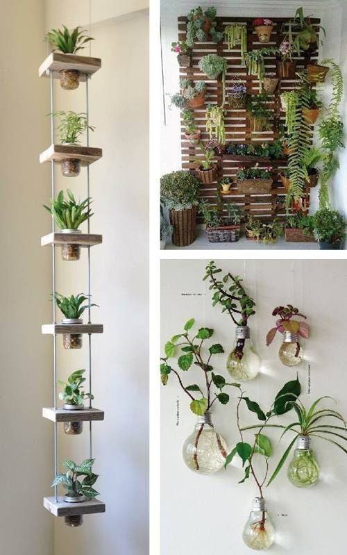 Moda Hortinha vertical 🌿🍃