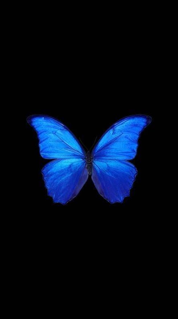 Moda Wallpaper butterfly 🦋