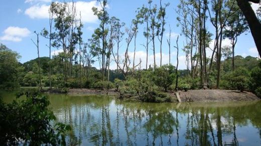 Parque Ecológico do Tietê