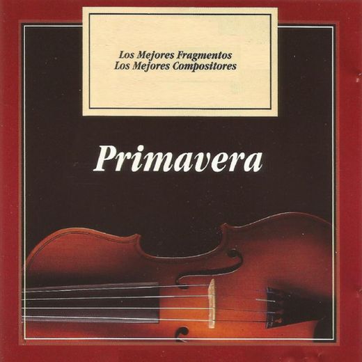 Violin Sonata No. 5, Op. 24: I. Allegro