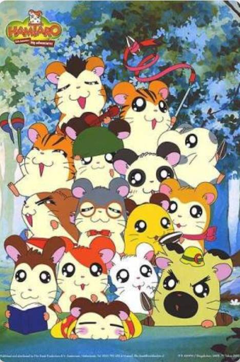 Serie Hamtaro: pequeños hámsteres, grandes aventuras