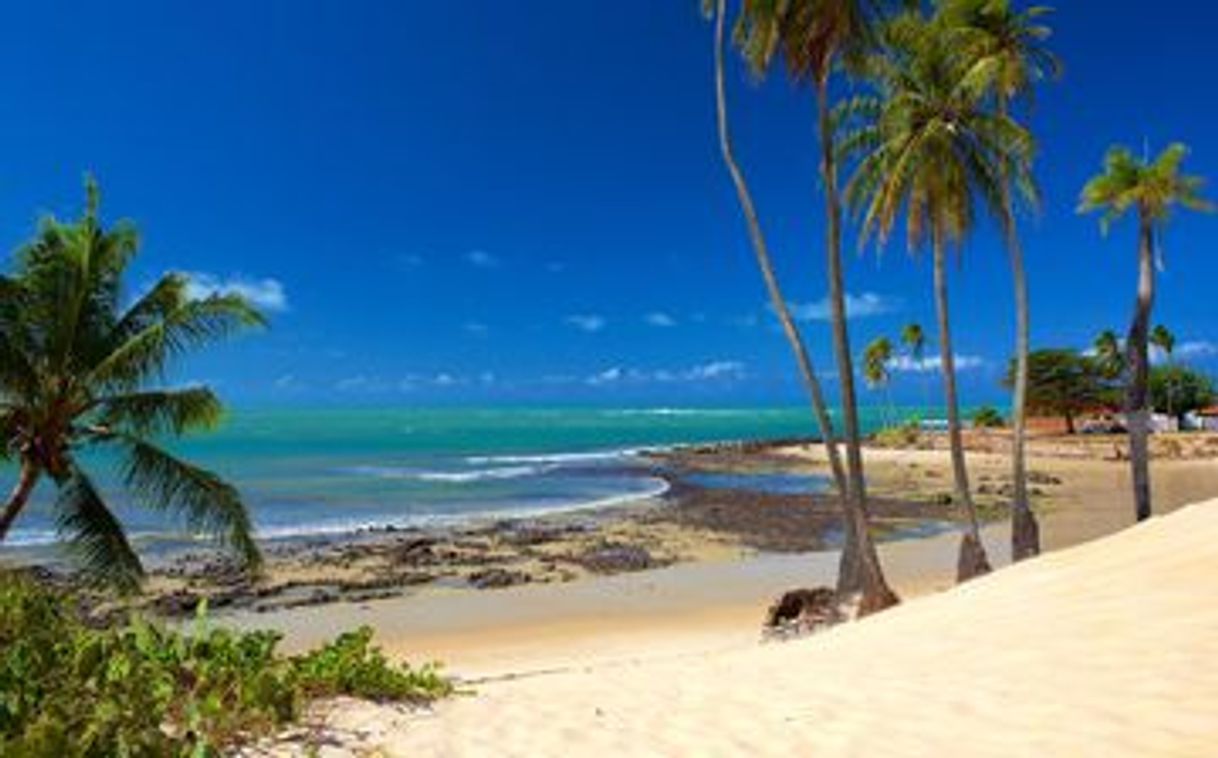 Lugar Praia de Genipabu