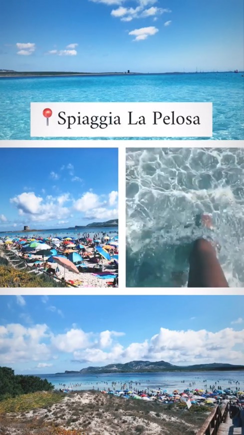 Lugar Spiaggia La Pelosa