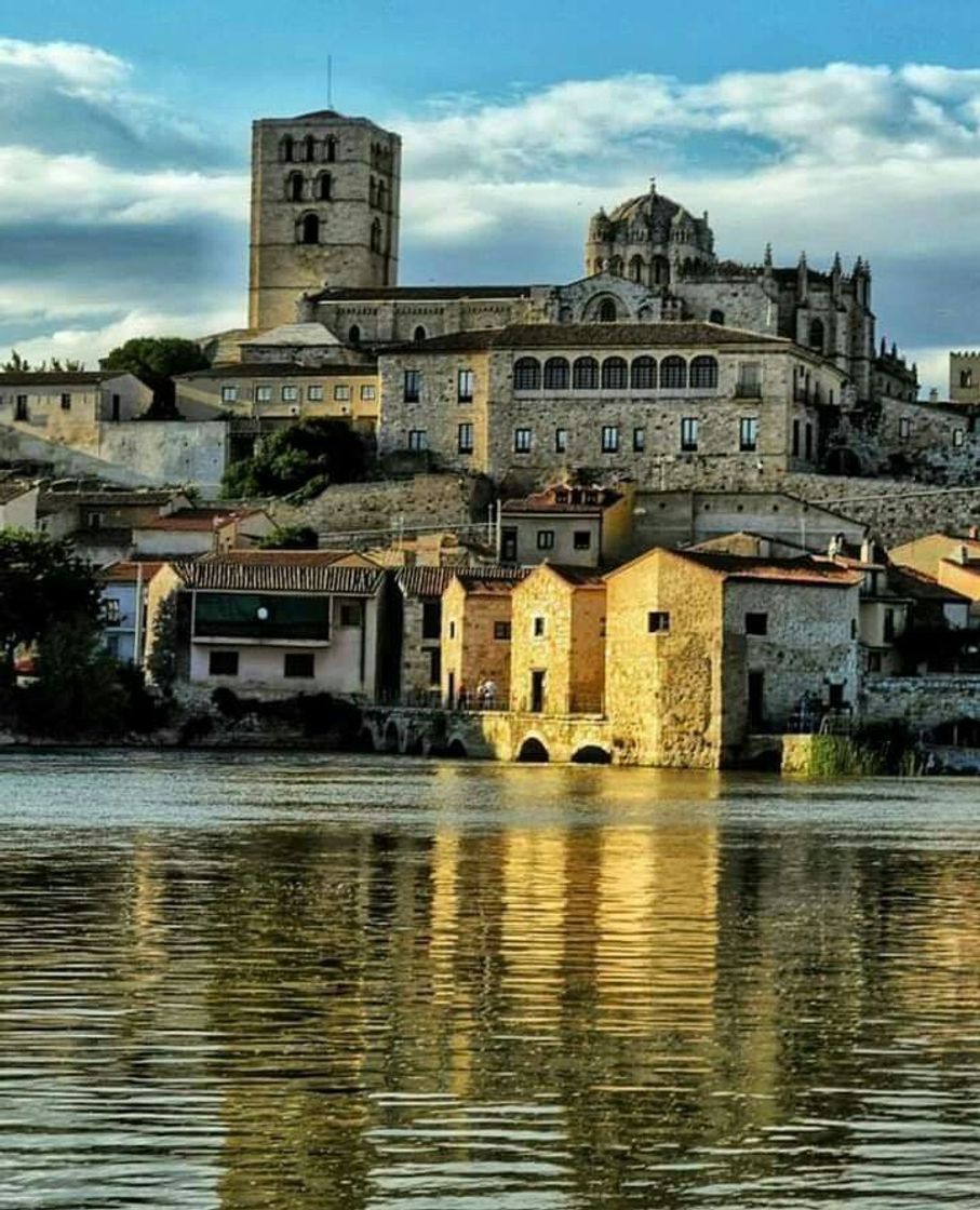 Place Zamora