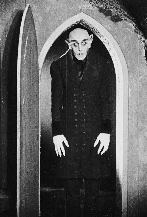 Película Nosferatu