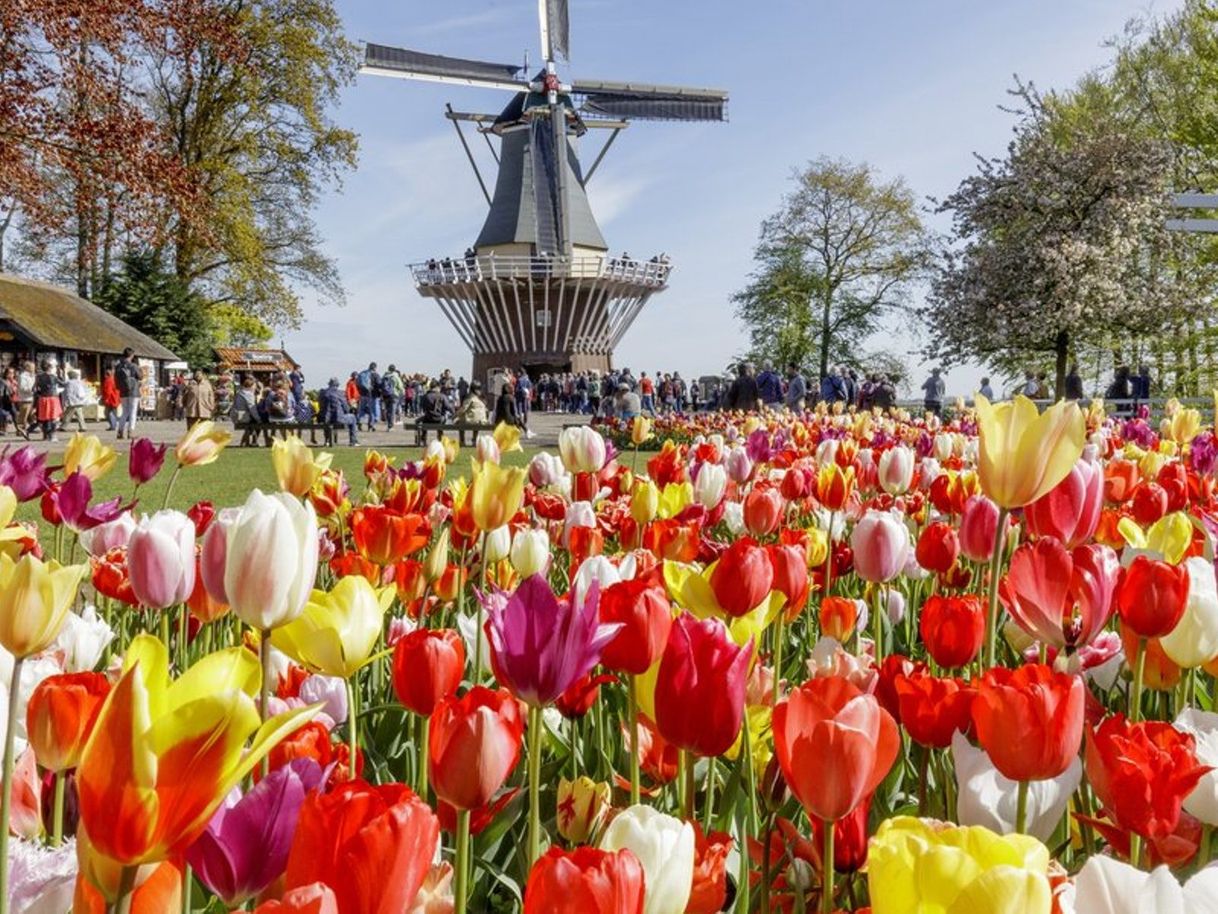 Lugar Keukenhof