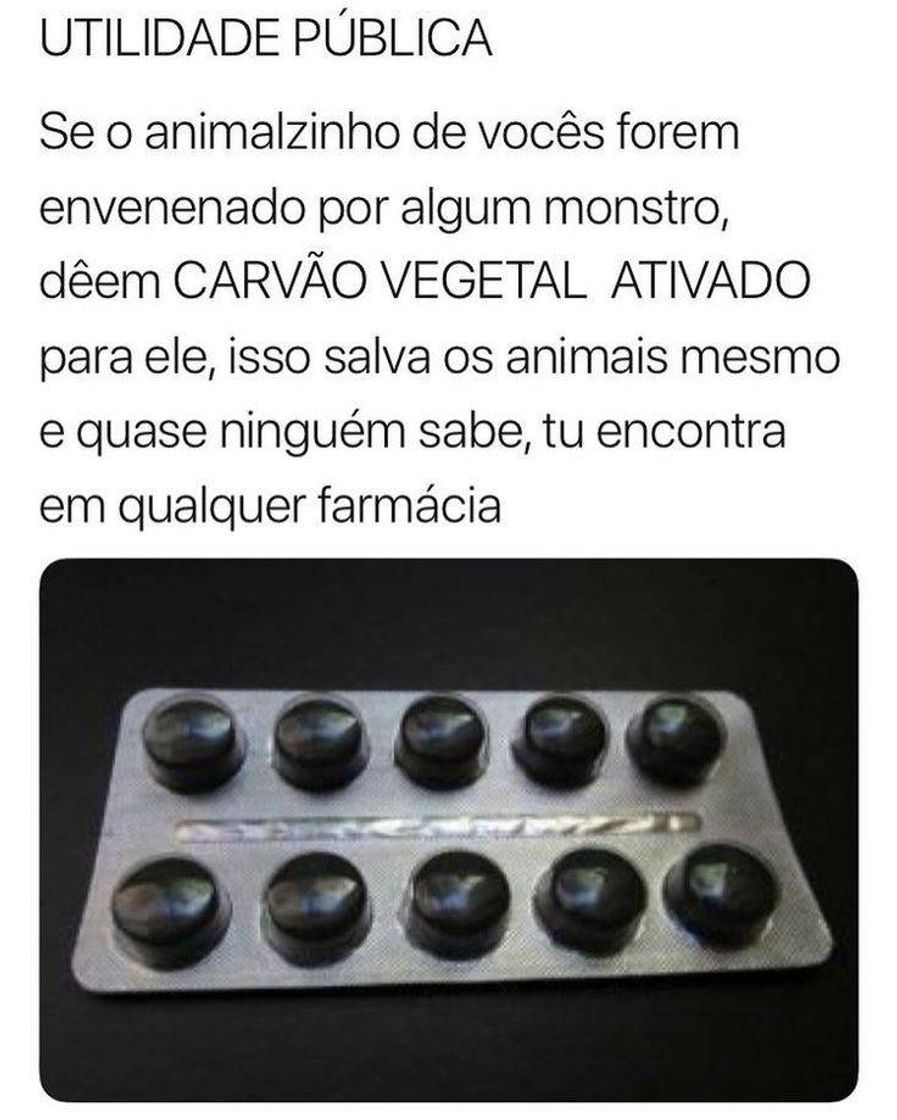 Moda Utilidade Pública