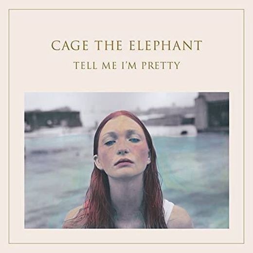 Cage The Elephant - Too Late To Say Goodbye