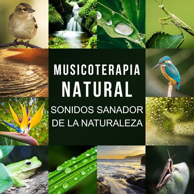 Music Relajantes Sonidos del Océano (Música de Arpa)