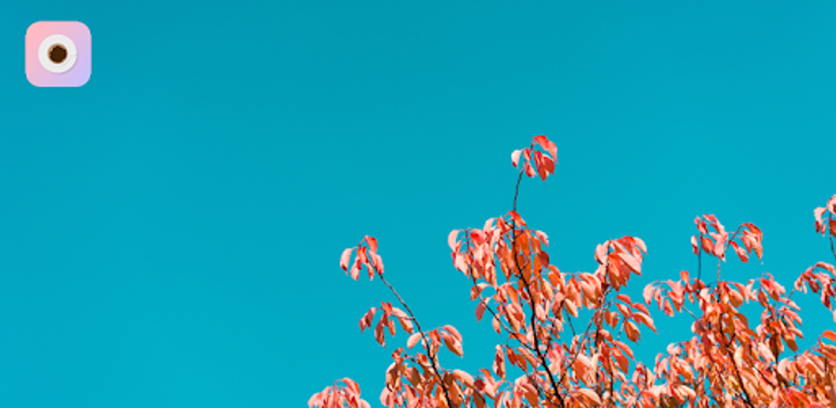 Social Coffee Cam-Vintage filter,Light leak,1998,Glitch - Apps on Google Play