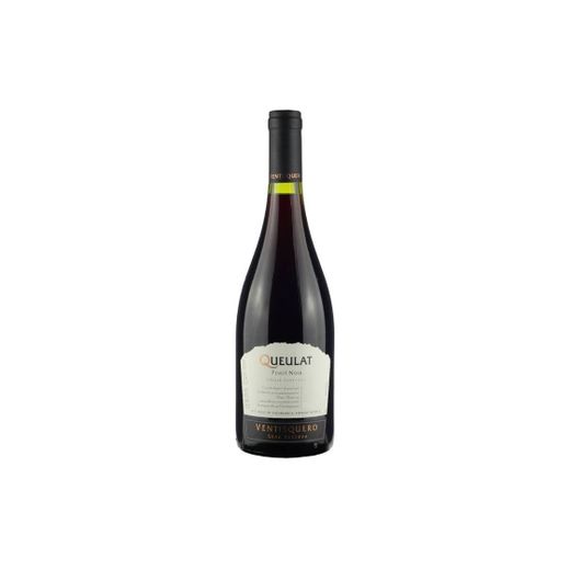 Vinho tinto chileno ventisquero queulat pinot noir