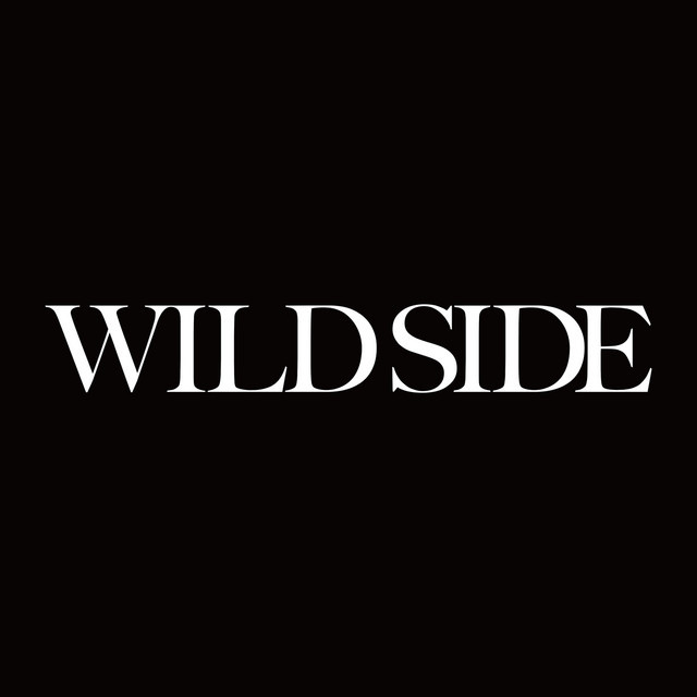 Canción Wild Side