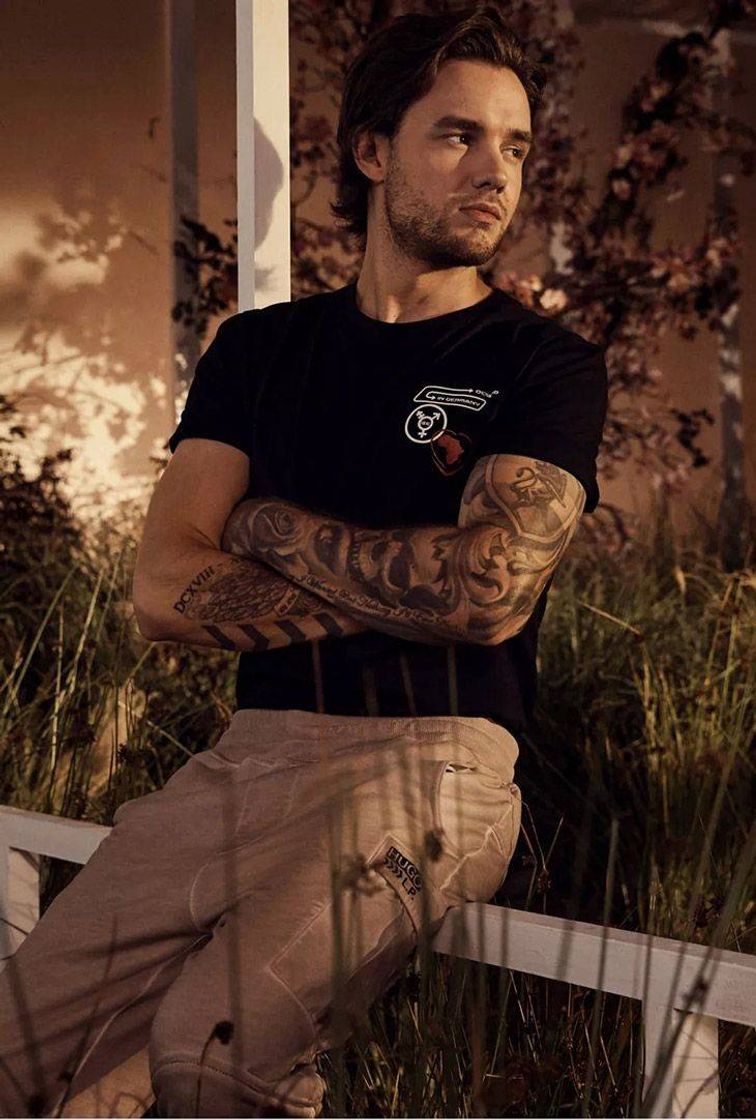 Social Liam Payne