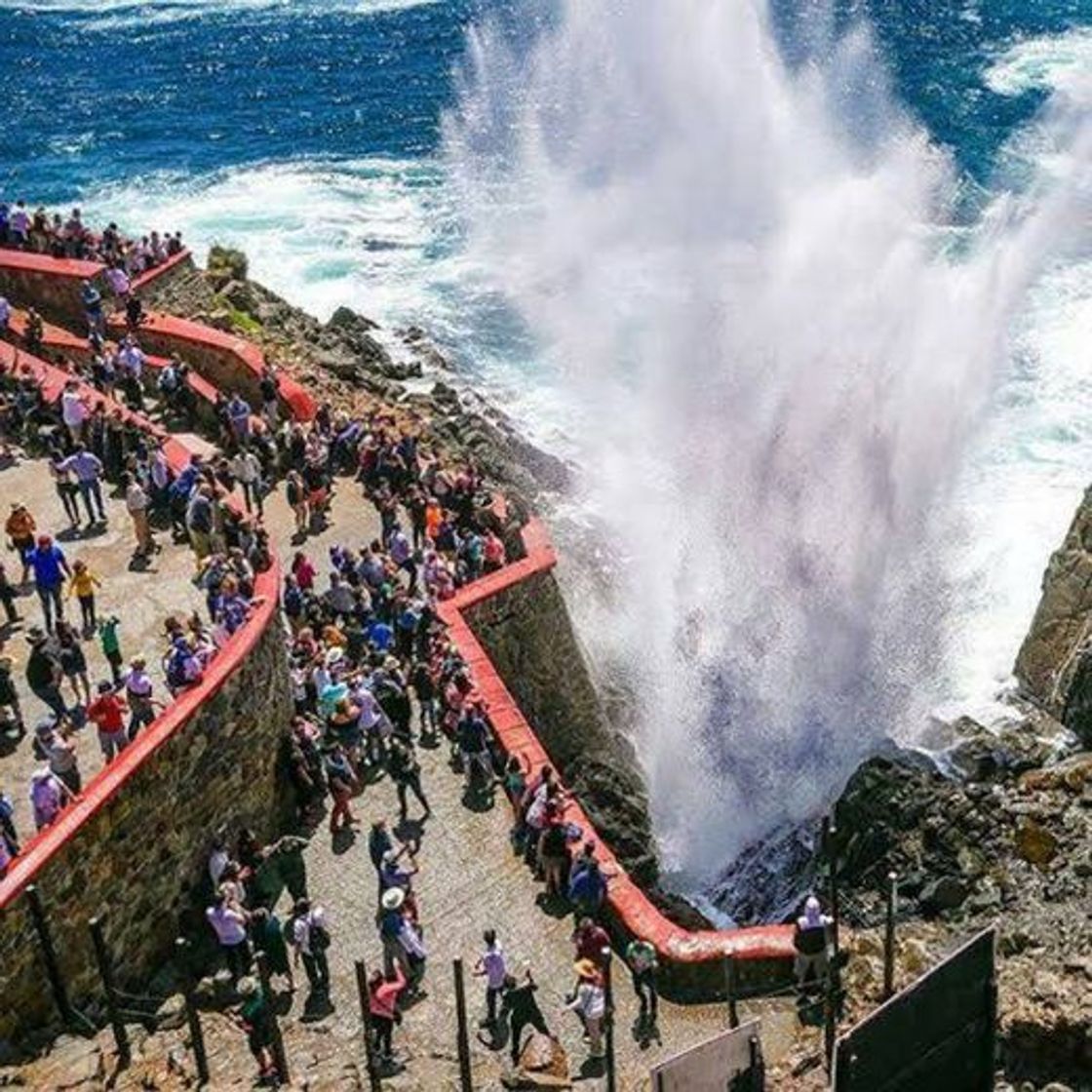 Moda Tour Bufadora, Ruta del Vino y Puerto Nuevo • BajaViajes.com