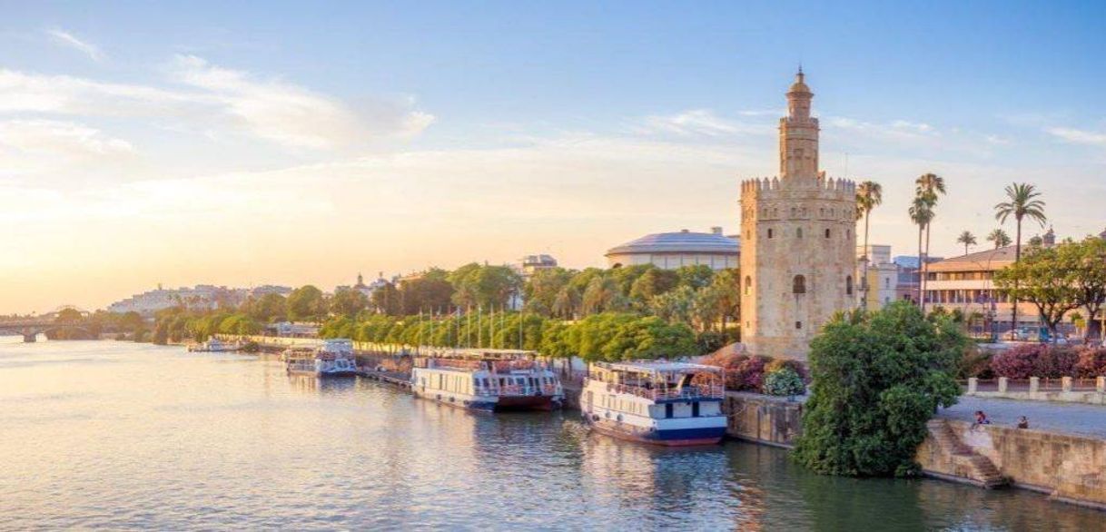 Moda Torre del Oro