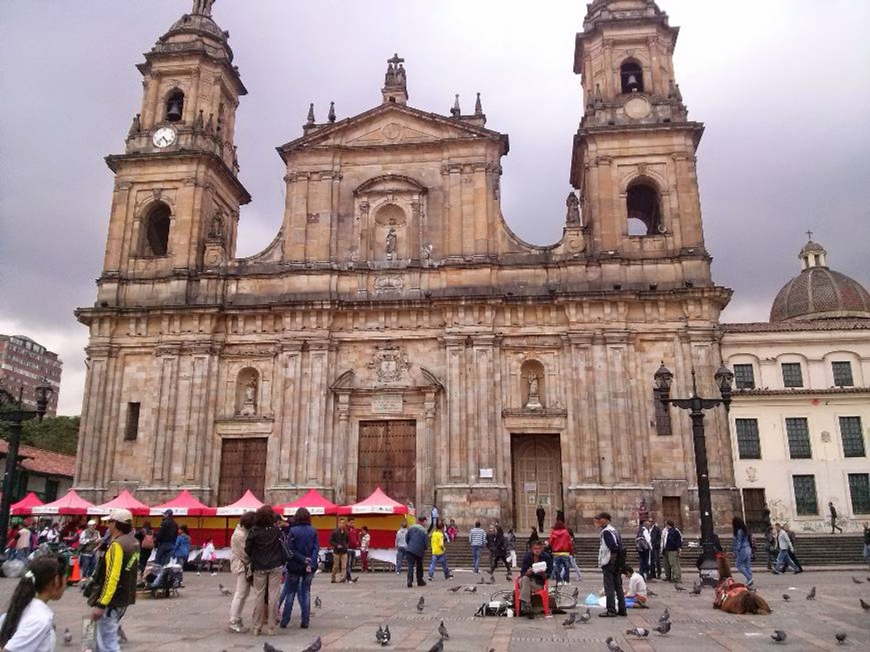 Lugares Catedral Primada de Colombia