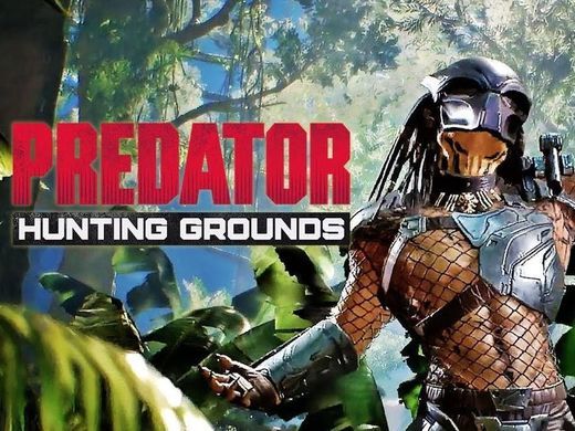 Videogames Predator Hunting Grounds