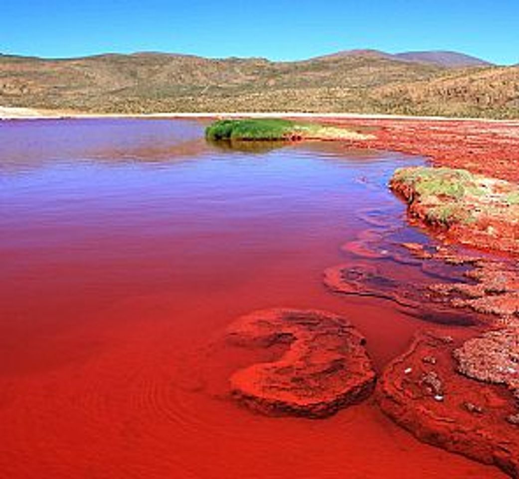 Place Laguna Roja