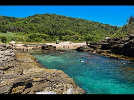 Praia da Tartaruga