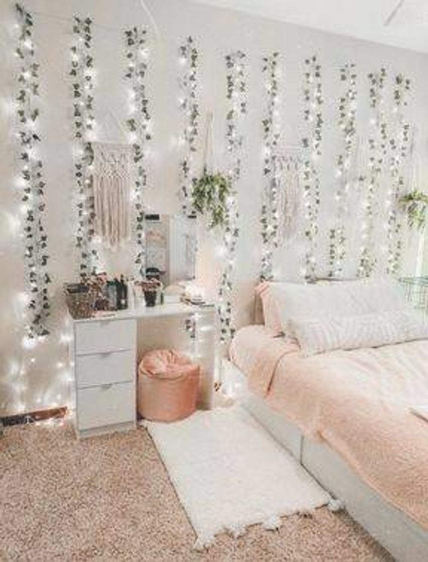 Fashion quarto clean