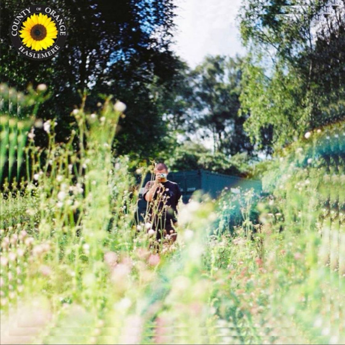 Music Rex Orange Country: Sunflower 