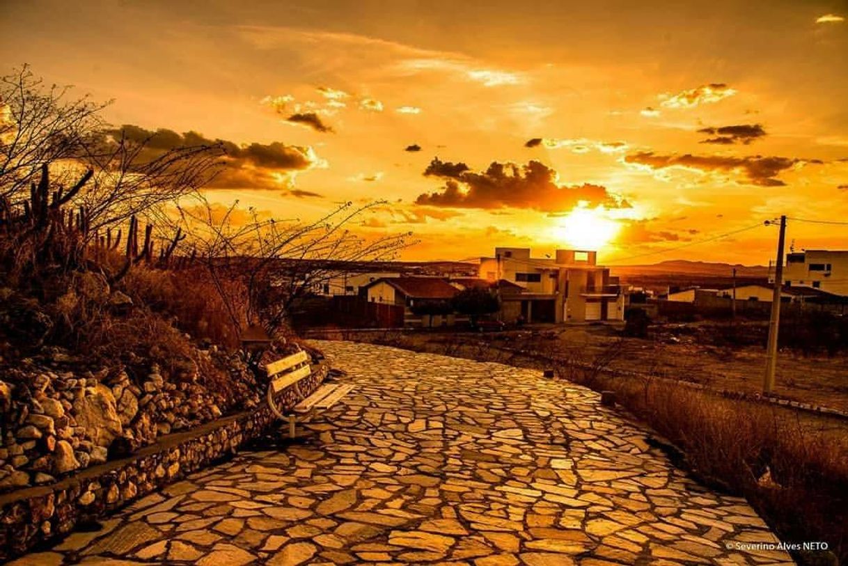 Social Foto de atardecer