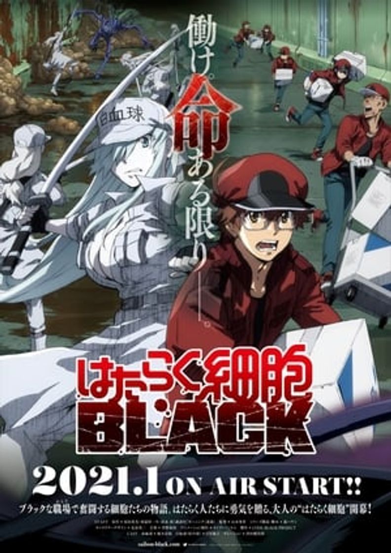 Serie Hataraku Saibou Black