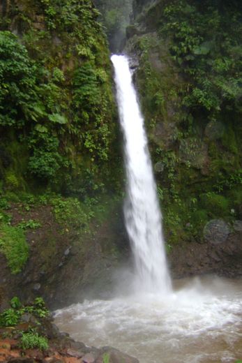 Catarata de la Paz