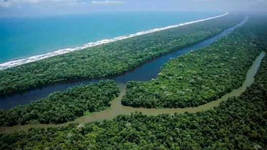 Tortuguero National Park