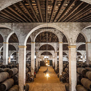 Lugar Bodegas Gonzalez Las Copas