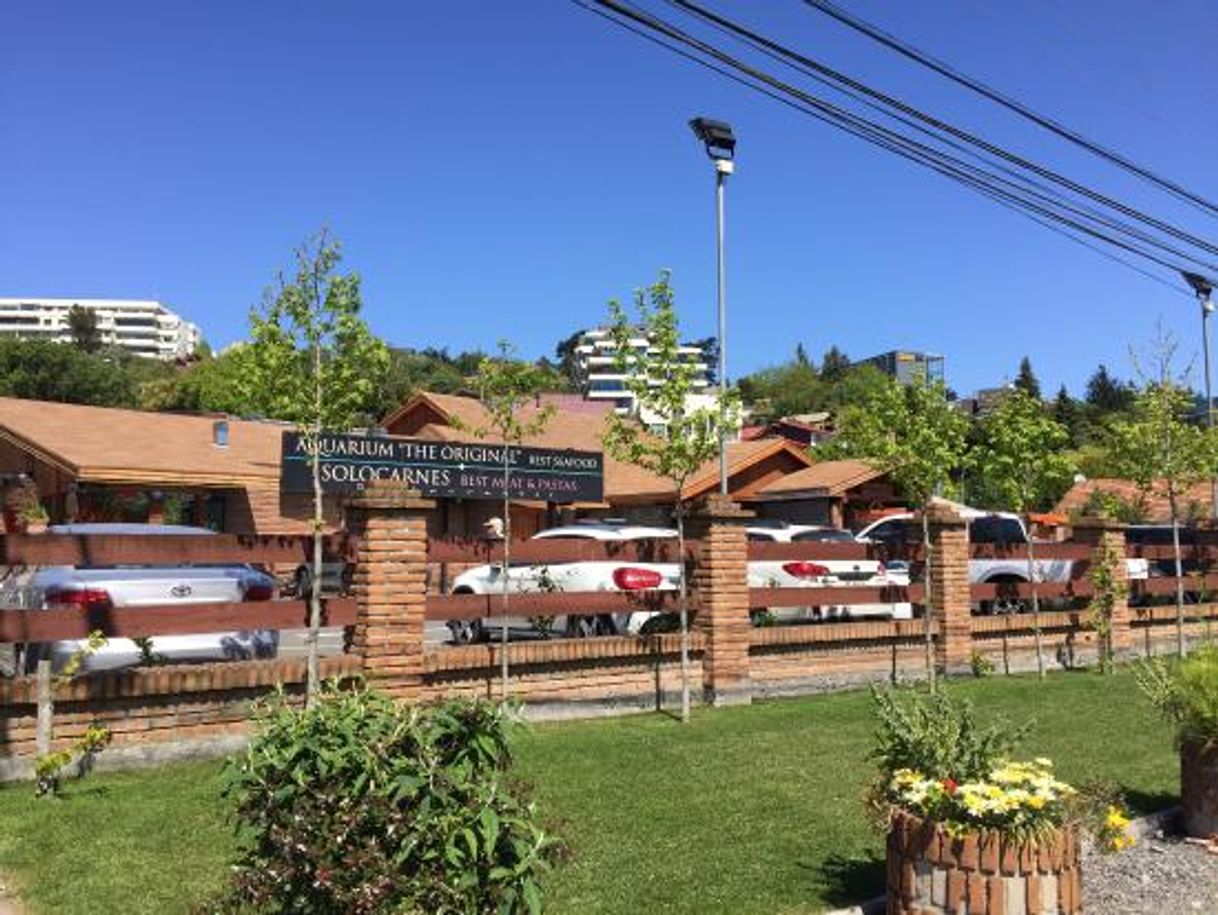 Restaurantes Solocarnes Y Aquarium