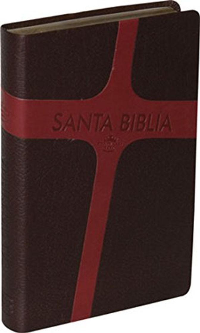 Book Santa Biblie Letra Grande-Rvr 1960