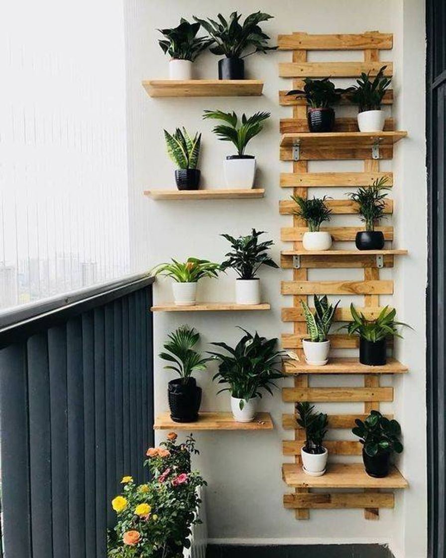 Moda Decorações de plantas para fazer em casa.