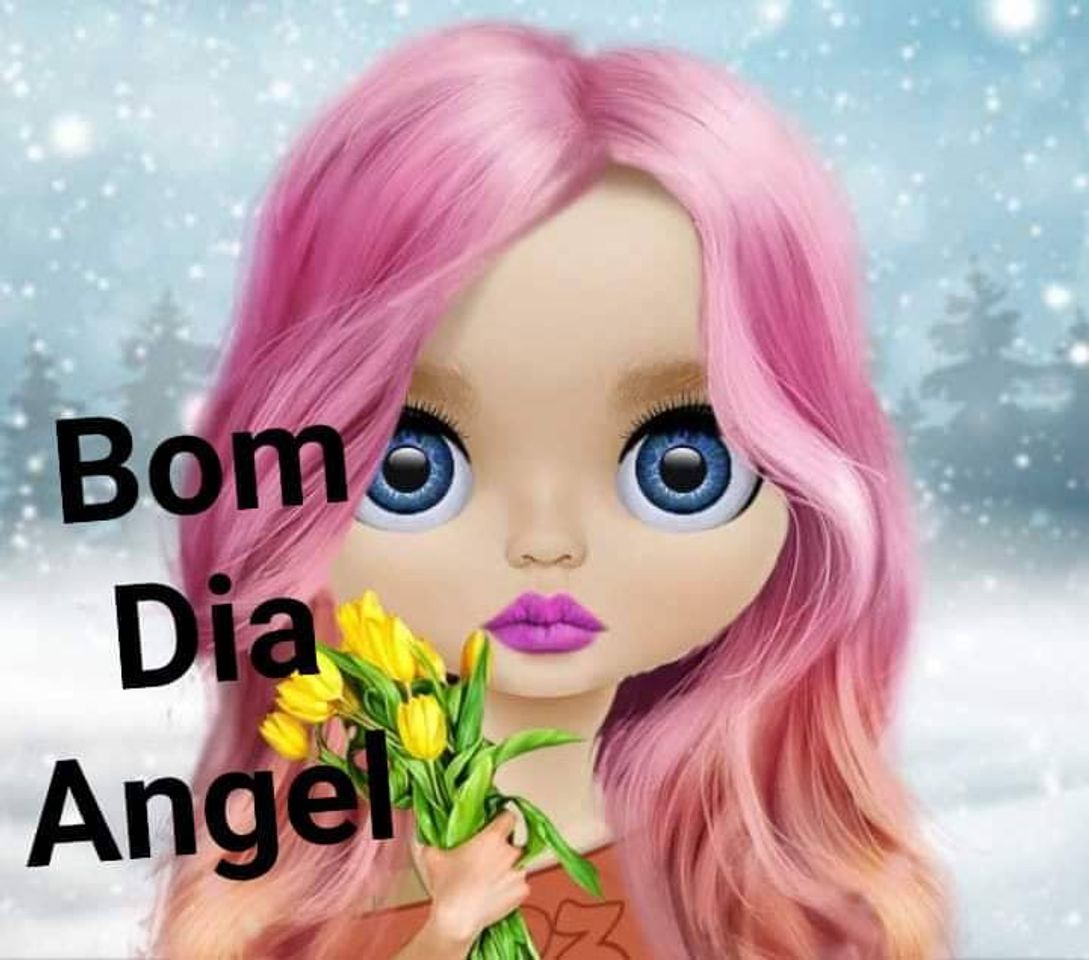 Social Bommmm diaaa
