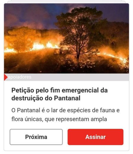 Petição para acabar com a queimada da Amazônia