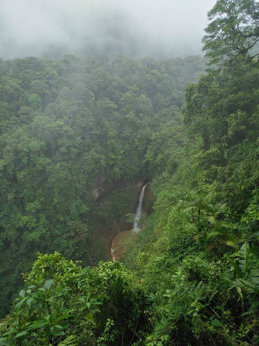 Lugares Locos Por El Bosque Montserrat