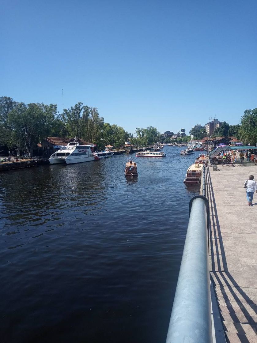 Place Tigre