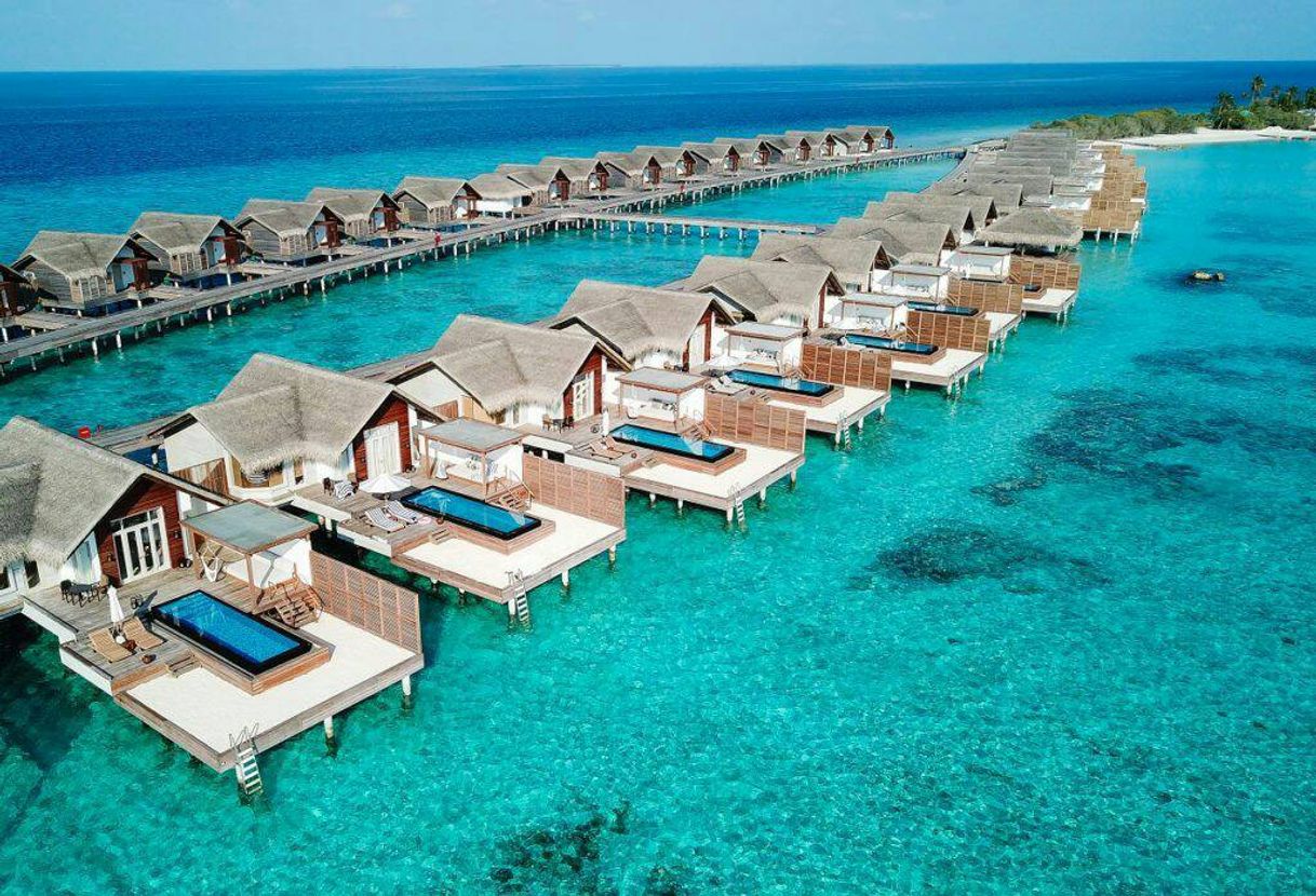 Place Maldive Islands