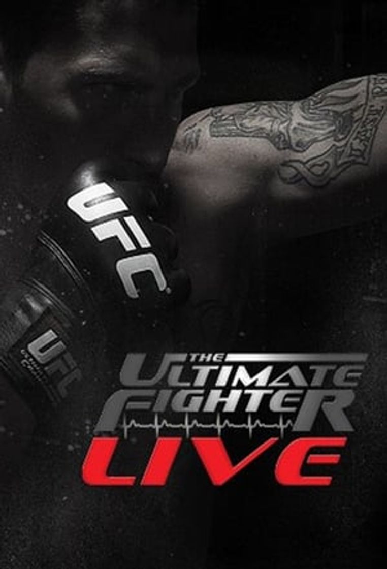 Serie The Ultimate Fighter