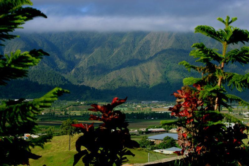 Place Constanza