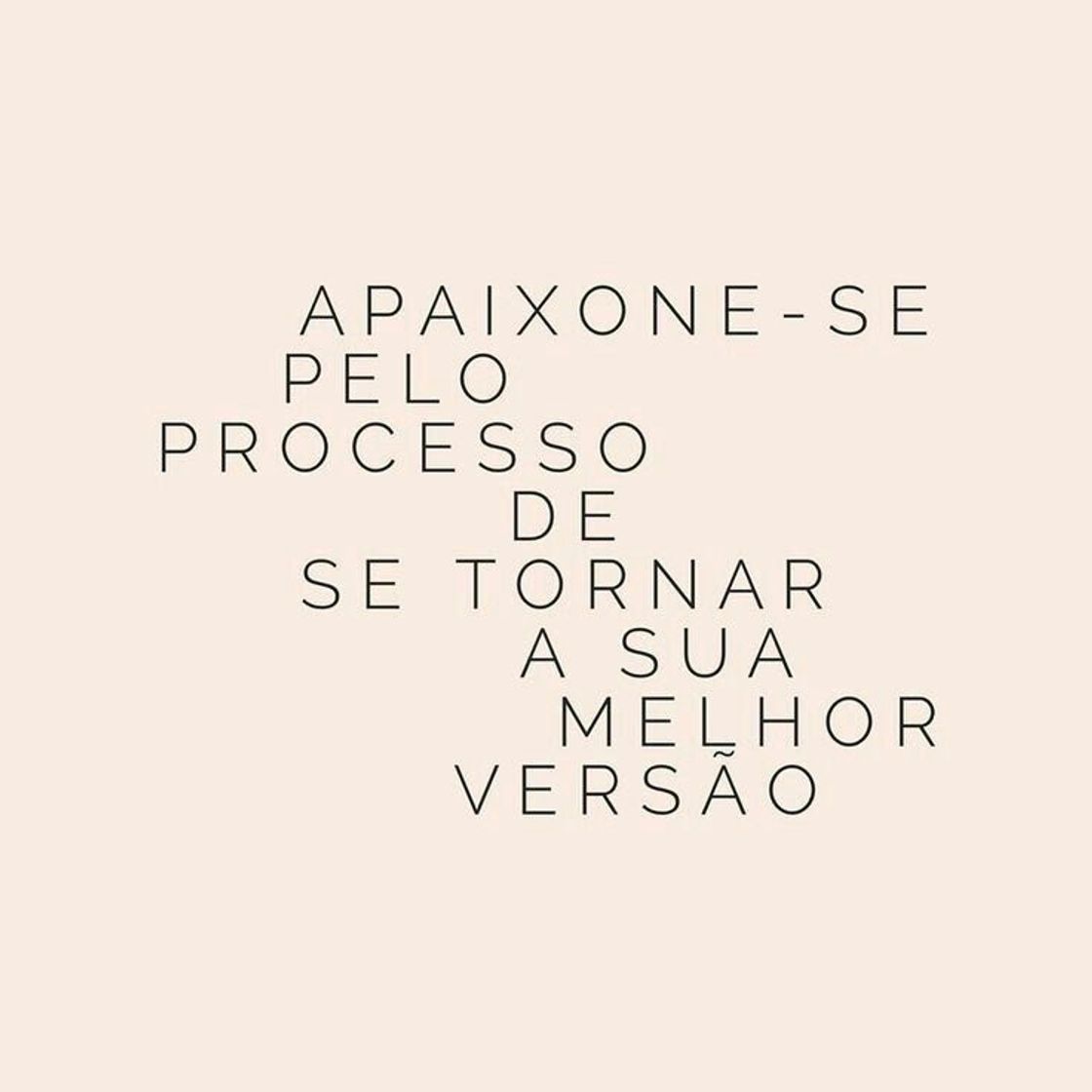 Fashion Frases 