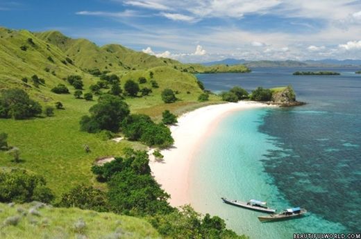 Komodo National Park