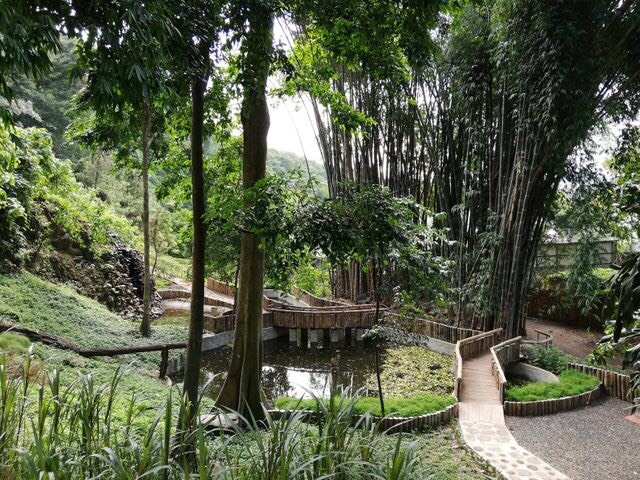 Place Jardín Botánico, Plan de La Laguna